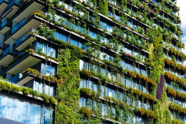 Professionnels du bâtiment : de nouvelles exigences de performance énergétique