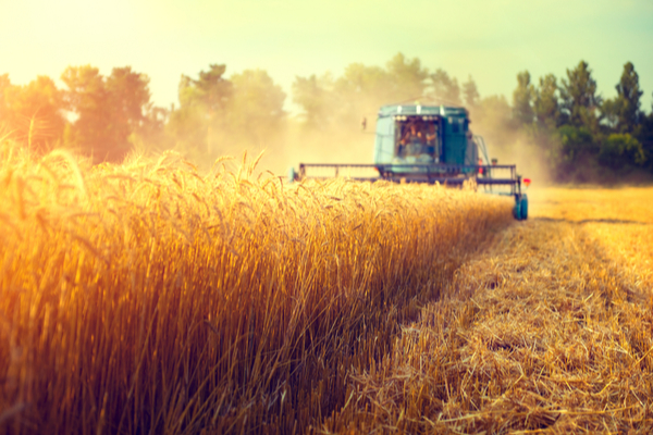 Une protection sociale améliorée pour les non-salariés agricoles