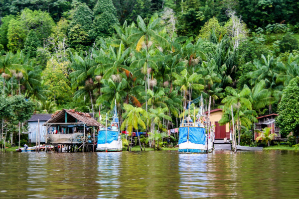 Guyane : un accord pour relancer la filière pêche