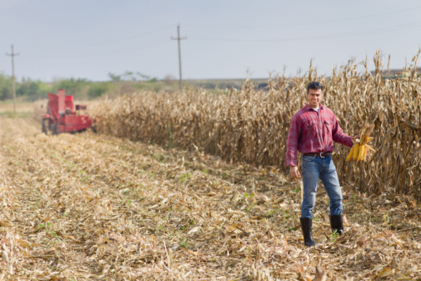 Installation d’un agriculteur : l’âge (ne) fait (pas) tout ?