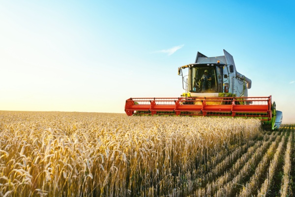 Métiers en tension : l’ajout (attendu) des métiers agricoles