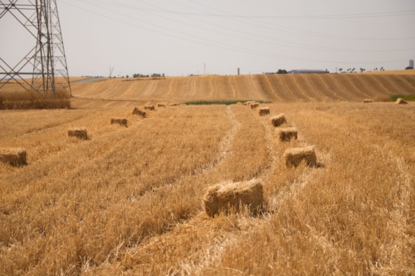 Un exploitant agricole… qui ne l’est pas vraiment ?